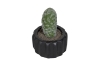 Picture of ARTIFICIAL Round Cactus Potted Plant - Set of 4 