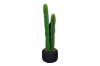 Picture of ARTIFICIAL Cactus Potted Plant (36" Tall) 