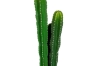 Picture of ARTIFICIAL Cactus Potted Plant (36" Tall) 