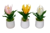 Picture of Set of 3 - ARTIFICIAL Flower Potted Plants 3 Piece Decorative Set