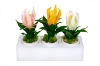 Picture of Set of 3 - ARTIFICIAL Flower Potted Plants 3 Piece Decorative Set