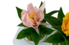 Picture of Set of 3 - ARTIFICIAL Flower Potted Plants 3 Piece Decorative Set