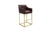 Picture of HESPER Bar Stool with Arms & Golden Finish Base (Wine Red) 