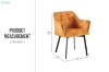 Picture of TAMPA Arm Dining Chair (Caramel) 
