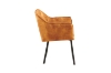Picture of TAMPA Arm Dining Chair (Caramel) 