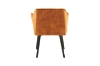 Picture of TAMPA Arm Dining Chair (Caramel) - Each