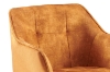 Picture of TAMPA Arm Dining Chair (Caramel) - 2 Chairs in 1 Carton