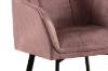 Picture of TAMPA Arm Dining Chair (Taupe)