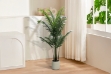 Picture of Artificial Potted Areca Palm Plant (H47"/H59"/H71")