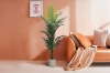 Picture of Artificial Potted Areca Palm Plant (H47"/H71")