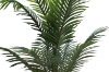 Picture of Artificial Potted Areca Palm Plant - H47"