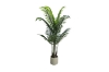 Picture of Artificial Potted Areca Palm Plant - H47"