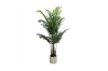Picture of H47" Artificial Potted Areca Palm Plant