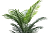 Picture of Artificial Potted Areca Palm Plant - H71" 