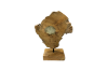 Picture of 650-021 Teak Root Abstract Decorative Sculpture