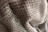 Picture of Soft Pineapple Grid Blanket Multiple Colours (78.5"x59")