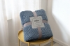 Picture of Soft Pineapple Grid Blanket (78.5"x59") - Blue