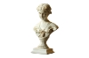 Picture of 374-005 Greece Goddess Bust Statue Classical Character Sculpture Resin Craftwork (5"x9")