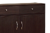 Picture of ARACEI 2-Door 2-Drawer Shoe Cabinet
