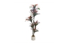 Picture of Artificial Potted Brazilian Red Ironwood Plant - H82.5"