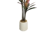 Picture of Artificial Potted Brazilian Red Ironwood Plant - H82.5"
