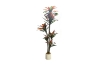 Picture of Artificial Potted Brazilian Red Ironwood Plant - H82.5"