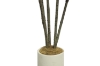 Picture of Artificial Potted Brazilian Red Ironwood Plant - H59"