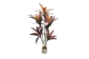 Picture of Artificial Potted Brazilian Red Ironwood Plant - H59"