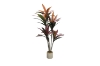 Picture of Artificial Potted Brazilian Red Ironwood Plant - H59"