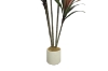 Picture of Artificial Potted Brazilian Red Ironwood Plant - H59"