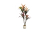 Picture of Artificial Potted Brazilian Red Ironwood Plant - H59"