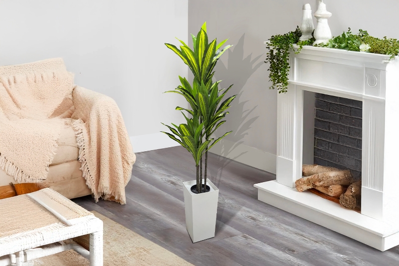 Picture of Artificial Green Upright Brazilian Ironwood Plant - H59"