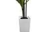 Picture of Artificial Green Upright Brazilian Ironwood Plant - H59"