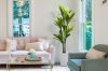 Picture of Artificial Green Upright Brazilian Ironwood Plant - H71"