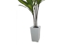 Picture of Artificial Green Upright Brazilian Ironwood Plant - H71"