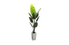 Picture of Artificial Potted Traveller Palm Plant - H71"