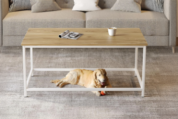 Picture of GASTON 31.5" Coffee Table (Oak Colour)