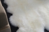Picture of 388-002 Natural Long Wool Sheepskin Rug - (37.5"x23.5")