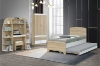Picture of RYDEN Twin Trundle Bed 