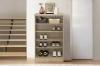 Picture of VIDA 2-Door Shoe Cabinet 