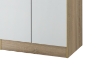 Picture of VIDA 2-Door Shoe Cabinet 