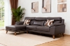 Picture of ANVIL 100% Genuine Leather Sectional Sofa  (Dark Brown) 