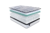 Picture of SEALY® Essentials® ELTON H11" Tight Top Medium Firm Mattress in Queen/Eastern King Sizes