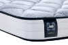 Picture of SEALY® Essentials® JUDI H6" Tight Top Firm Mattress - Queen Size