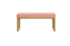 Picture of REESE 41.5" Bench (Pink)