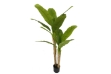 Picture of 353-004 Artificial Green Banana Tree Plant - H59"