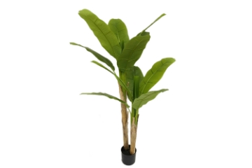 Picture of 353-004 Artificial Green Banana Tree Plant - H59"