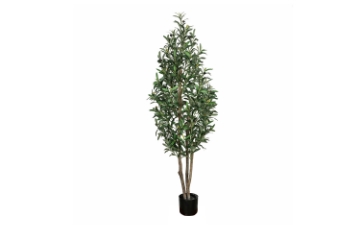 Picture of 353-006 Artificial Green Olive Plant - H59"