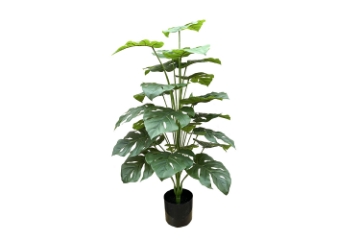 Picture of 353-014 Artificial Green Pothos Plant - H39.5"
