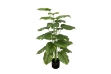 Picture of 353-015 Artificial Green Pothos Plant - H39.5" 